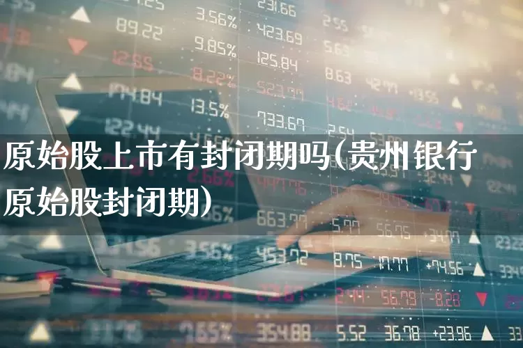 原始股上市有封闭期吗(贵州银行原始股封闭期)_https://www.xzdzchf.com_科创板_第1张