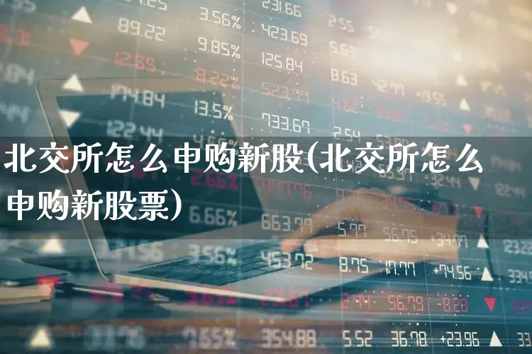 北交所怎么申购新股(北交所怎么申购新股票)_https://www.xzdzchf.com_深交所_第1张