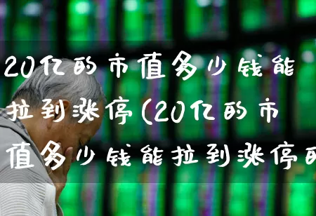 20亿的市值多少钱能拉到涨停(20亿的市值多少钱能拉到涨停的股票)_https://www.xzdzchf.com_创业板_第1张
