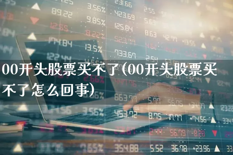 00开头股票买不了(00开头股票买不了怎么回事)_https://www.xzdzchf.com_科创板_第1张