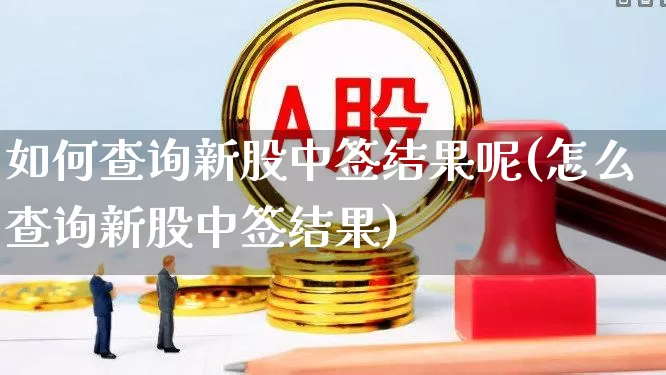 如何查询新股中签结果呢(怎么查询新股中签结果)_https://www.xzdzchf.com_科创板_第1张