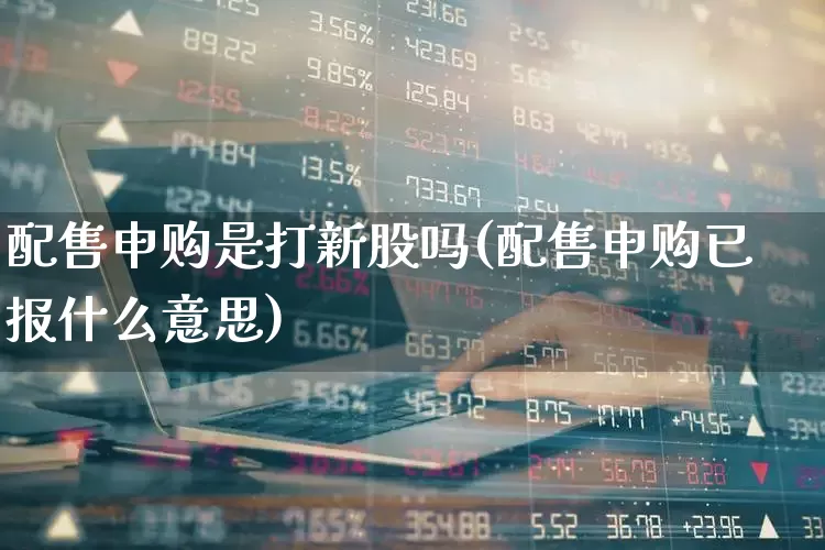 配售申购是打新股吗(配售申购已报什么意思)_https://www.xzdzchf.com_创业板_第1张