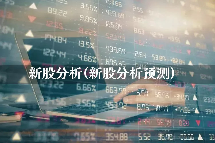 新股分析(新股分析预测)_https://www.xzdzchf.com_北交所_第1张