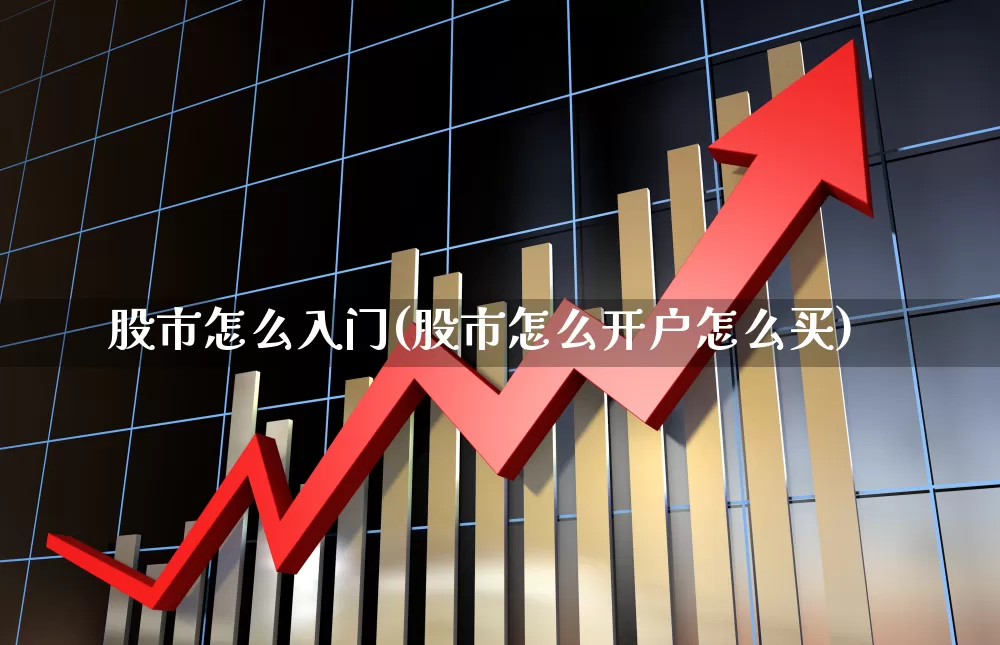 股市怎么入门(股市怎么开户怎么买)_https://www.xzdzchf.com_科创板_第1张