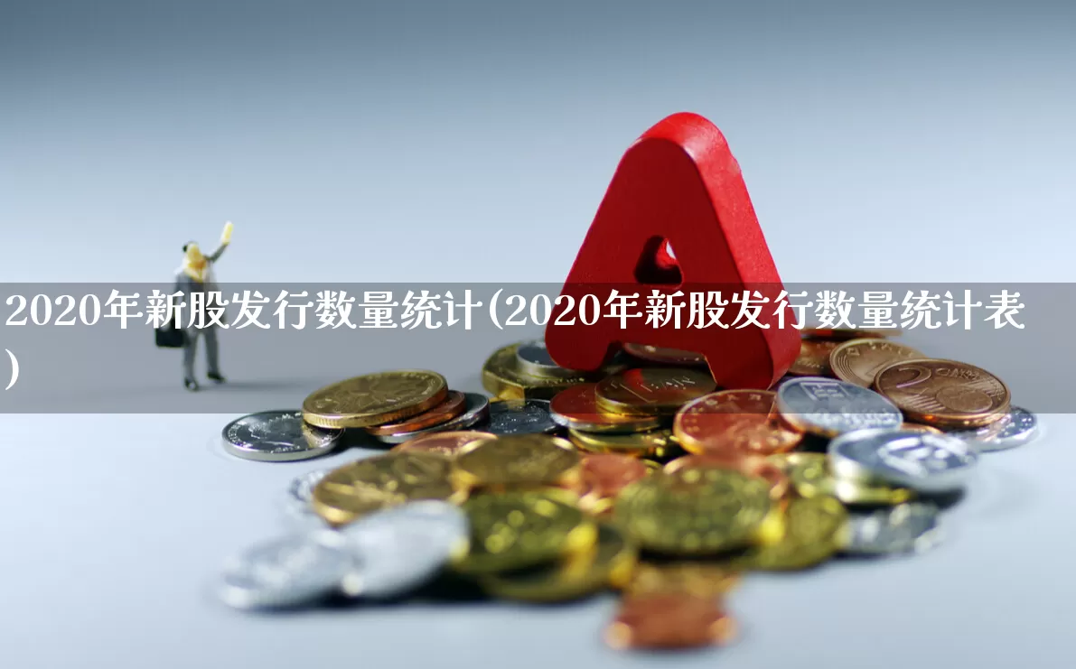 2020年新股发行数量统计(2020年新股发行数量统计表)_https://www.xzdzchf.com_北交所_第1张
