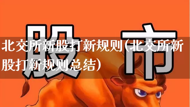 北交所新股打新规则(北交所新股打新规则总结)_https://www.xzdzchf.com_上交所_第1张