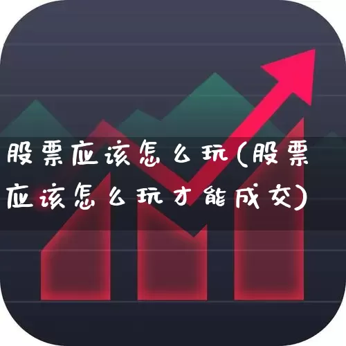 股票应该怎么玩(股票应该怎么玩才能成交)_https://www.xzdzchf.com_北交所_第1张