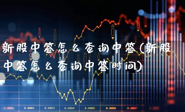 新股中签怎么查询中签(新股中签怎么查询中签时间)_https://www.xzdzchf.com_科创板_第1张