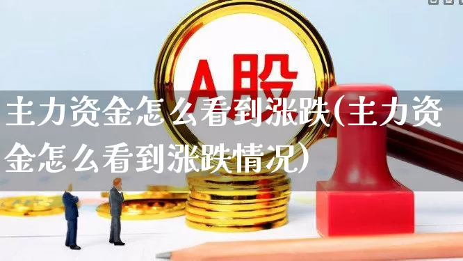 主力资金怎么看到涨跌(主力资金怎么看到涨跌情况)_https://www.xzdzchf.com_深交所_第1张