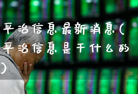 平治信息最新消息(平治信息是干什么的)_https://www.xzdzchf.com_科创板_第1张