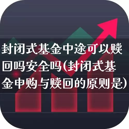 封闭式基金中途可以赎回吗安全吗(封闭式基金申购与赎回的原则是)_https://www.xzdzchf.com_创业板_第1张