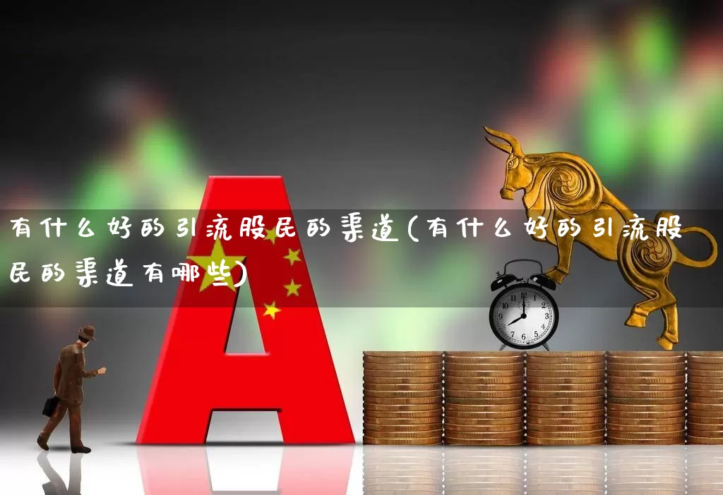 有什么好的引流股民的渠道(有什么好的引流股民的渠道有哪些)_https://www.xzdzchf.com_北交所_第1张