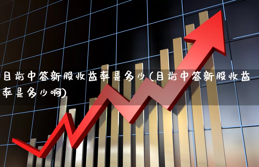 目前中签新股收益率是多少(目前中签新股收益率是多少啊)_https://www.xzdzchf.com_科创板_第1张