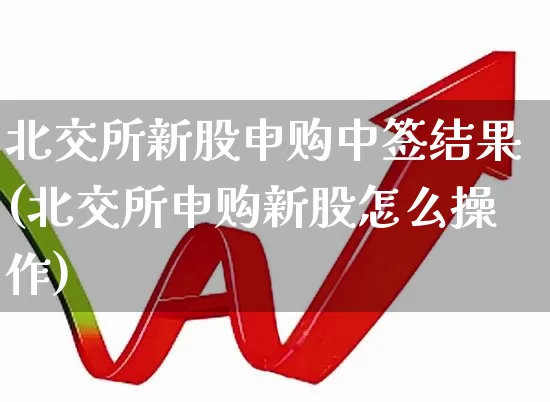 北交所新股申购中签结果(北交所申购新股怎么操作)_https://www.xzdzchf.com_深交所_第1张