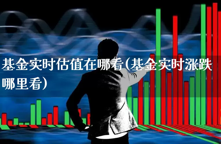 基金实时估值在哪看(基金实时涨跌哪里看)_https://www.xzdzchf.com_深交所_第1张