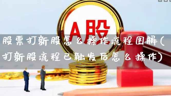 股票打新股怎么操作流程图解(打新股流程已触发后怎么操作)_https://www.xzdzchf.com_北交所_第1张