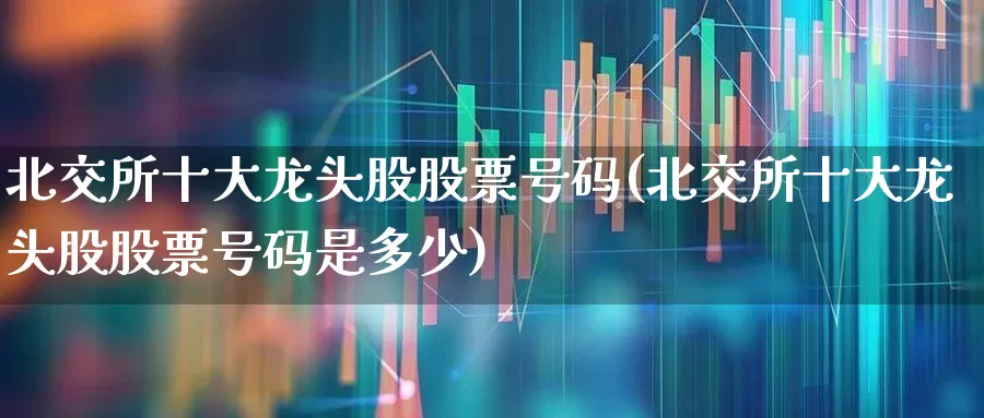 北交所十大龙头股股票号码(北交所十大龙头股股票号码是多少)_https://www.xzdzchf.com_北交所_第1张