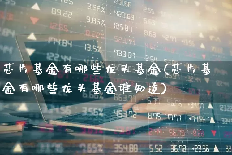 芯片基金有哪些龙头基金(芯片基金有哪些龙头基金谁知道)_https://www.xzdzchf.com_科创板_第1张
