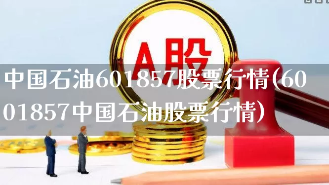 中国石油601857股票行情(6001857中国石油股票行情)_https://www.xzdzchf.com_北交所_第1张