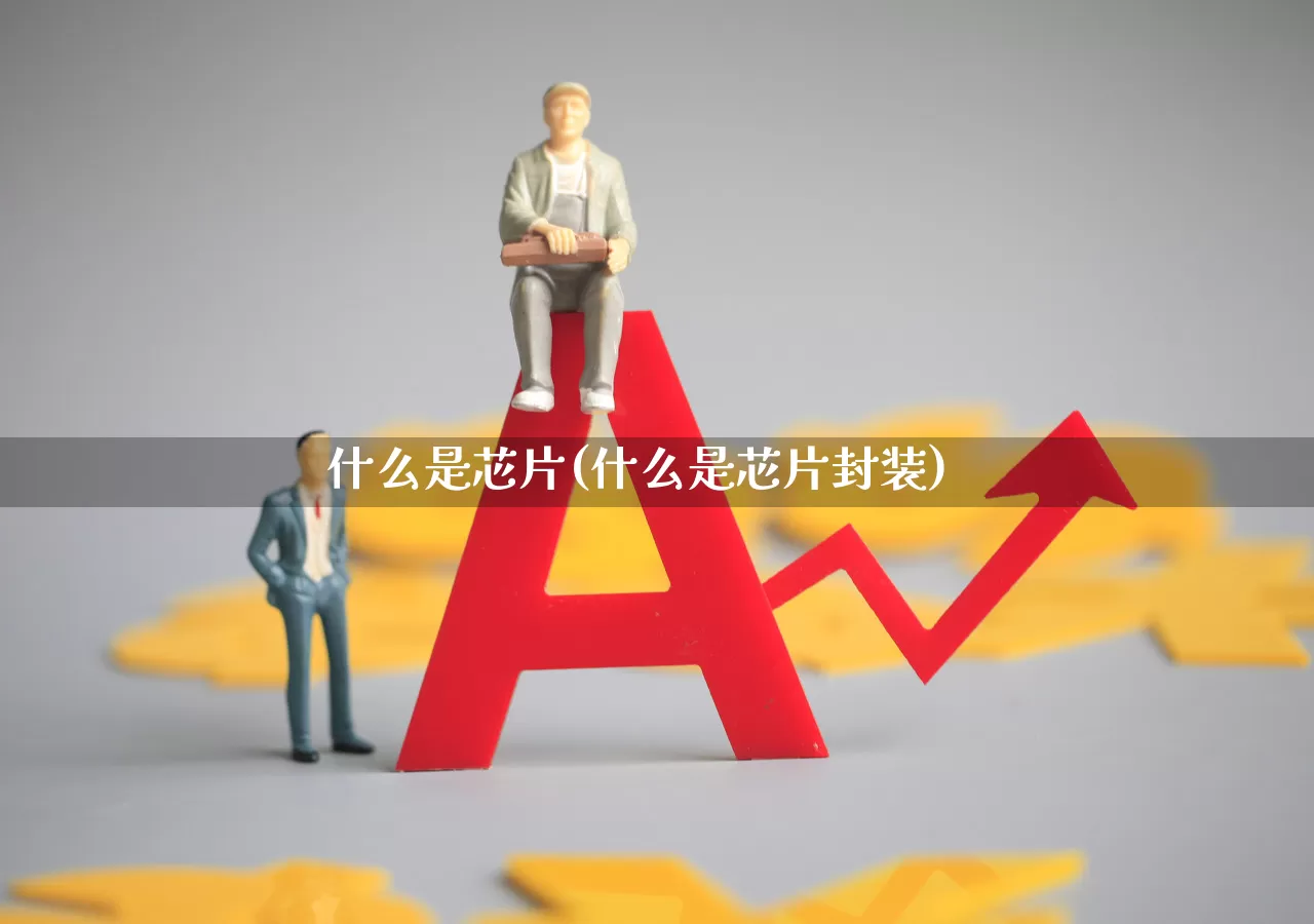 什么是芯片(什么是芯片封装)_https://www.xzdzchf.com_北交所_第1张