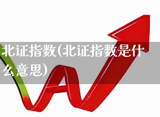 北证指数(北证指数是什么意思)_https://www.xzdzchf.com_创业板_第1张