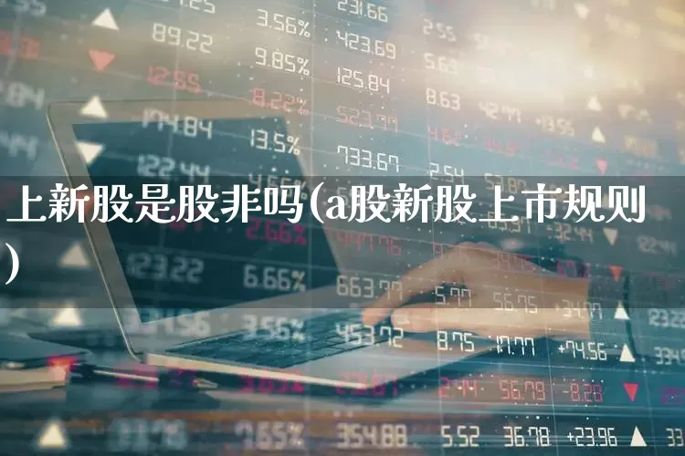 上新股是股非吗(a股新股上市规则)_https://www.xzdzchf.com_深交所_第1张