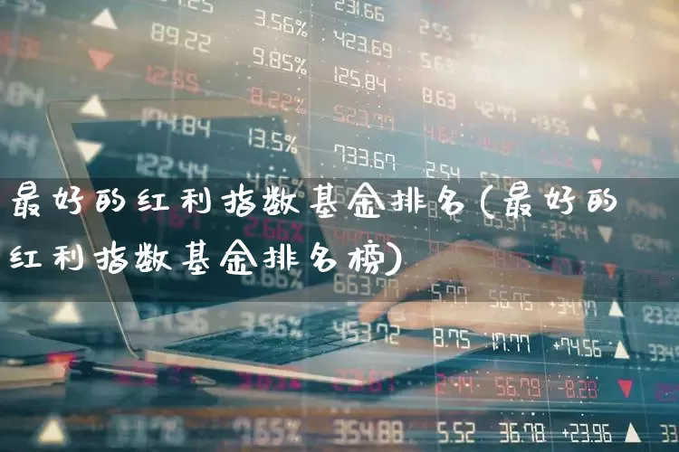 最好的红利指数基金排名(最好的红利指数基金排名榜)_https://www.xzdzchf.com_创业板_第1张