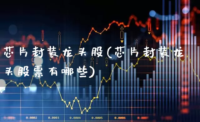 芯片封装龙头股(芯片封装龙头股票有哪些)_https://www.xzdzchf.com_创业板_第1张