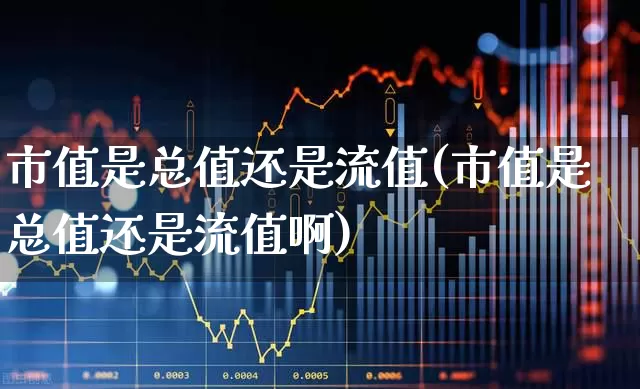 市值是总值还是流值(市值是总值还是流值啊)_https://www.xzdzchf.com_科创板_第1张