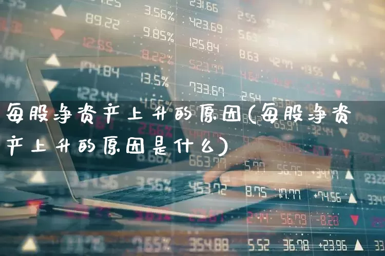 每股净资产上升的原因(每股净资产上升的原因是什么)_https://www.xzdzchf.com_创业板_第1张