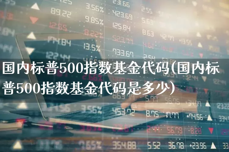 国内标普500指数基金代码(国内标普500指数基金代码是多少)_https://www.xzdzchf.com_科创板_第1张