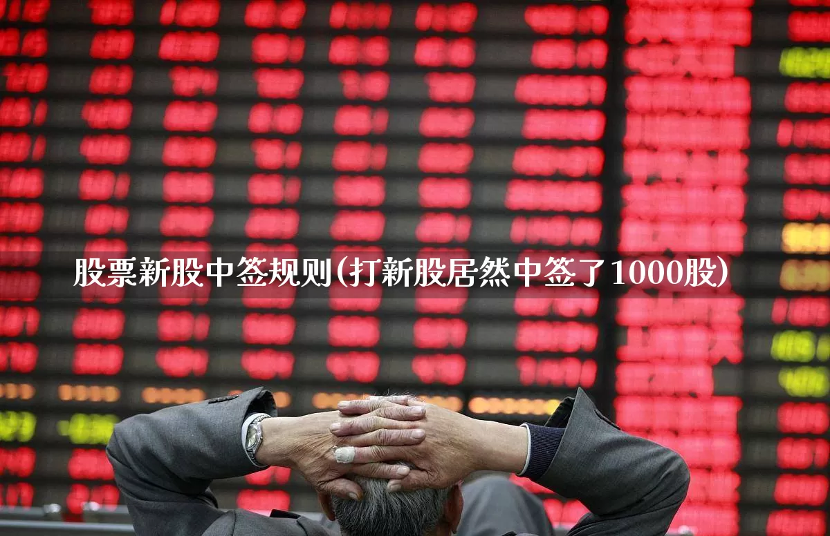 股票新股中签规则(打新股居然中签了1000股)_https://www.xzdzchf.com_北交所_第1张