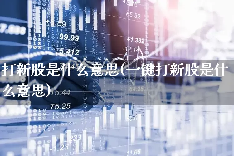 打新股是什么意思(一键打新股是什么意思)_https://www.xzdzchf.com_科创板_第1张