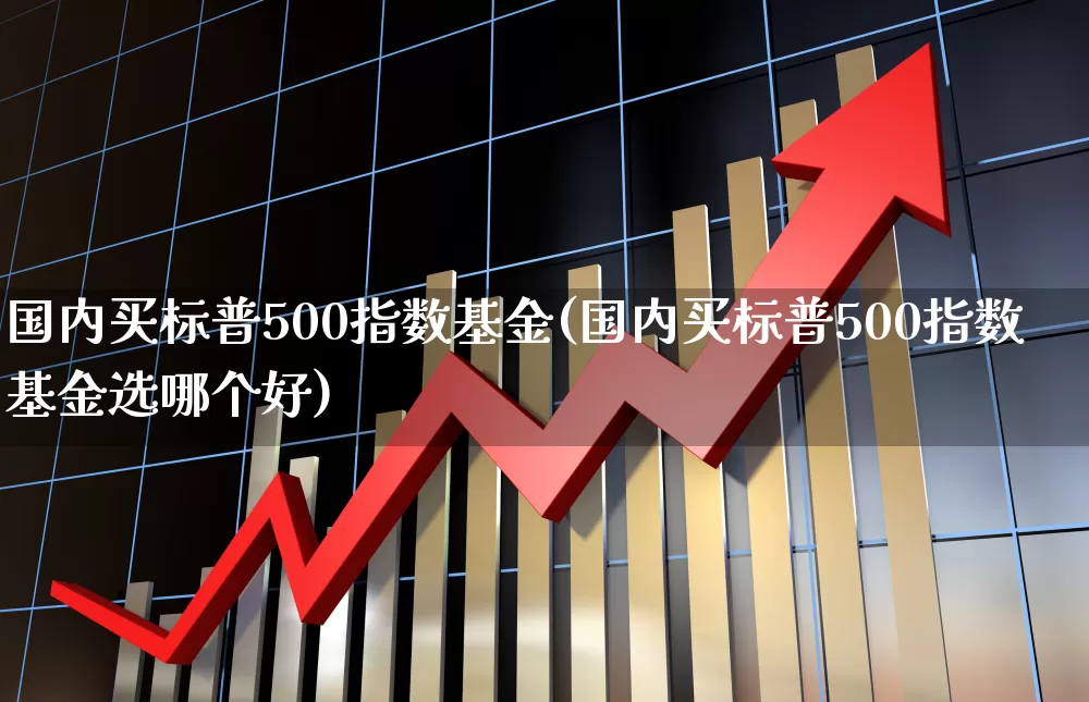国内买标普500指数基金(国内买标普500指数基金选哪个好)_https://www.xzdzchf.com_创业板_第1张