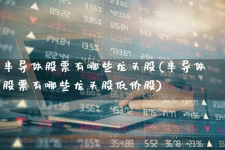 半导体股票有哪些龙头股(半导体股票有哪些龙头股低价股)_https://www.xzdzchf.com_创业板_第1张