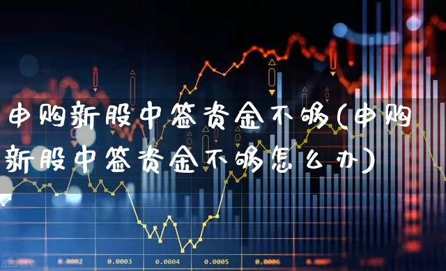 申购新股中签资金不够(申购新股中签资金不够怎么办)_https://www.xzdzchf.com_北交所_第1张