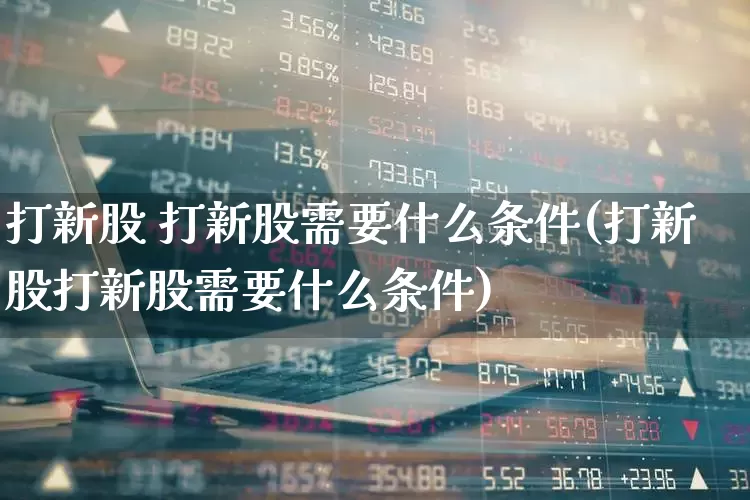 打新股 打新股需要什么条件(打新股打新股需要什么条件)_https://www.xzdzchf.com_创业板_第1张
