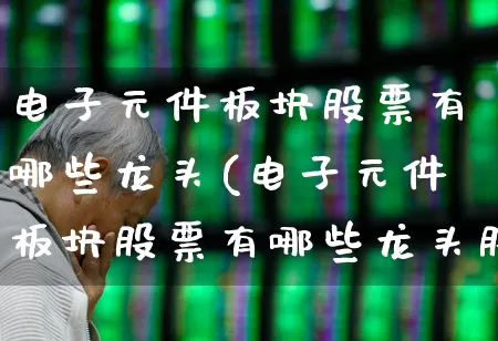 电子元件板块股票有哪些龙头(电子元件板块股票有哪些龙头股)_https://www.xzdzchf.com_北交所_第1张