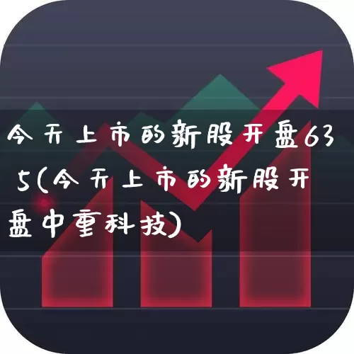 今天上市的新股开盘63 5(今天上市的新股开盘中重科技)_https://www.xzdzchf.com_北交所_第1张