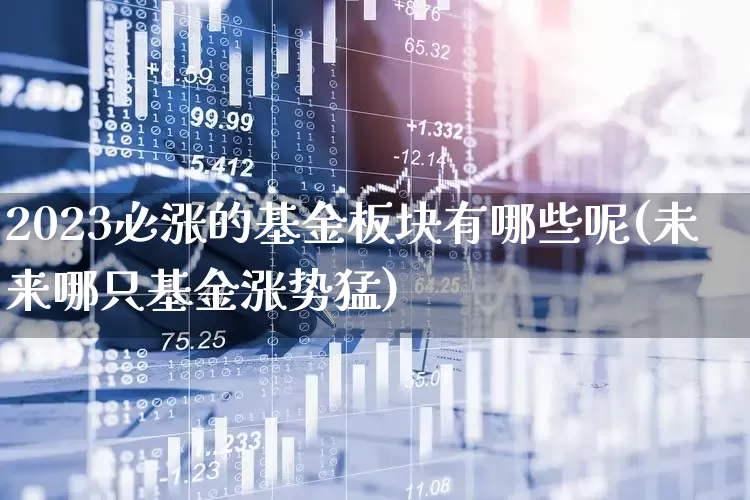 2023必涨的基金板块有哪些呢(未来哪只基金涨势猛)_https://www.xzdzchf.com_创业板_第1张
