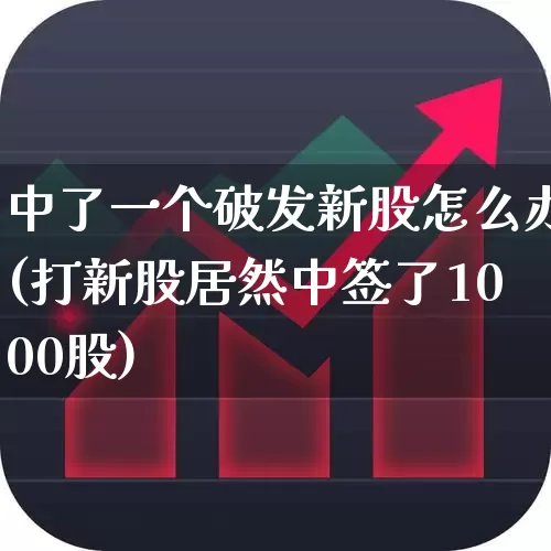 中了一个破发新股怎么办(打新股居然中签了1000股)_https://www.xzdzchf.com_北交所_第1张