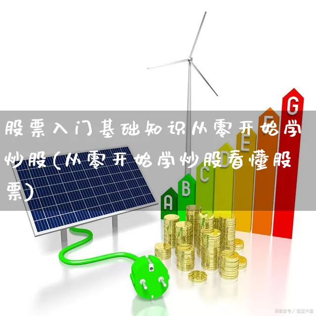 股票入门基础知识从零开始学炒股(从零开始学炒股看懂股票)_https://www.xzdzchf.com_创业板_第1张