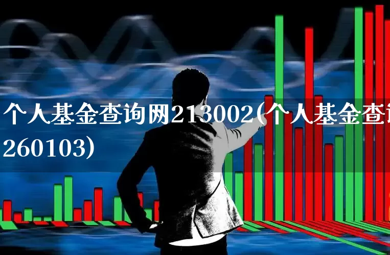 个人基金查询网213002(个人基金查询260103)_https://www.xzdzchf.com_科创板_第1张