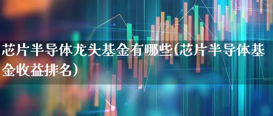 芯片半导体龙头基金有哪些(芯片半导体基金收益排名)_https://www.xzdzchf.com_创业板_第1张
