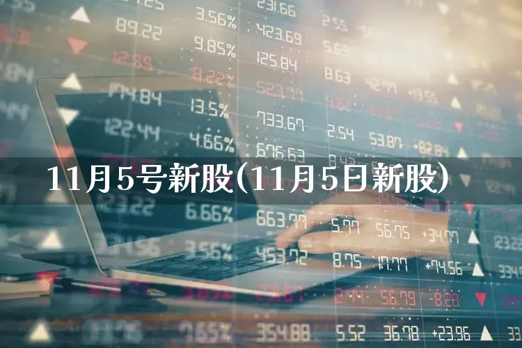 11月5号新股(11月5日新股)_https://www.xzdzchf.com_北交所_第1张