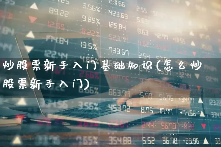 炒股票新手入门基础知识(怎么炒股票新手入门)_https://www.xzdzchf.com_创业板_第1张