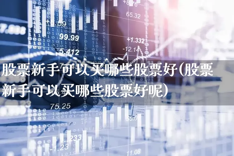 股票新手可以买哪些股票好(股票新手可以买哪些股票好呢)_https://www.xzdzchf.com_北交所_第1张
