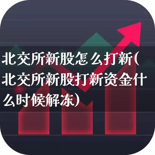 北交所新股怎么打新(北交所新股打新资金什么时候解冻)_深交所_第1张_财经网 北交所新股怎么打新(北交所新股打新资金什么时候解冻)_https://www.xzdzchf.com_深交所_第1张