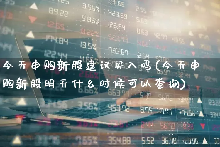 今天申购新股建议买入吗(今天申购新股明天什么时候可以查询)_https://www.xzdzchf.com_北交所_第1张