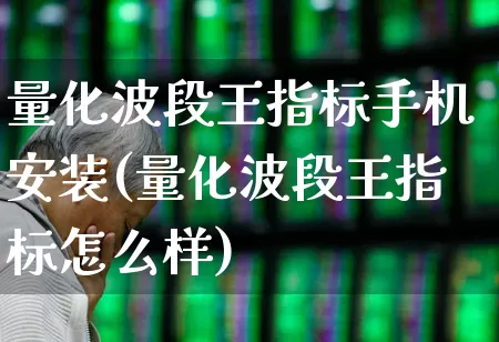 量化波段王指标手机安装(量化波段王指标怎么样)_https://www.xzdzchf.com_科创板_第1张
